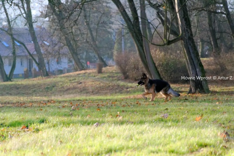 Koniec grudnia, czas na małe podsumowanie... 17 Pan Artur - Koniec grudnia, czas na małe podsumowanie...