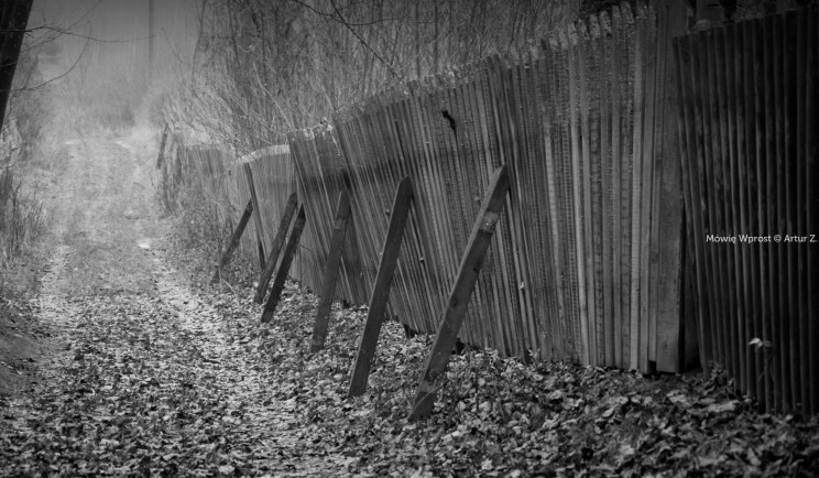 Koniec grudnia, czas na małe podsumowanie... 15 Pan Artur - Koniec grudnia, czas na małe podsumowanie...