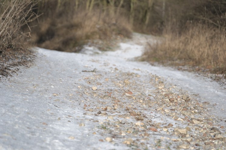 Krótki zimowy offroad, na piechotę 4 Pan Artur - Krótki zimowy offroad, na piechotę