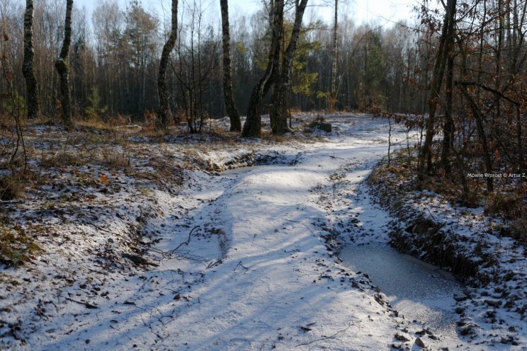 Krótki zimowy offroad, na piechotę 15 Pan Artur - Krótki zimowy offroad, na piechotę