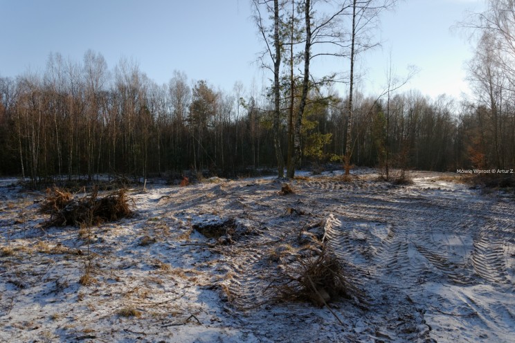 Krótki zimowy offroad, na piechotę 16 Pan Artur - Krótki zimowy offroad, na piechotę