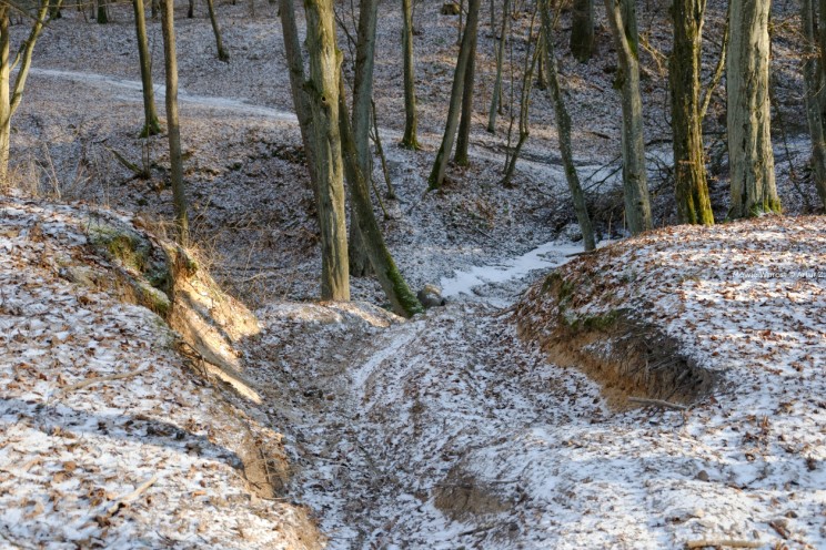 Krótki zimowy offroad, na piechotę 18 Pan Artur - Krótki zimowy offroad, na piechotę