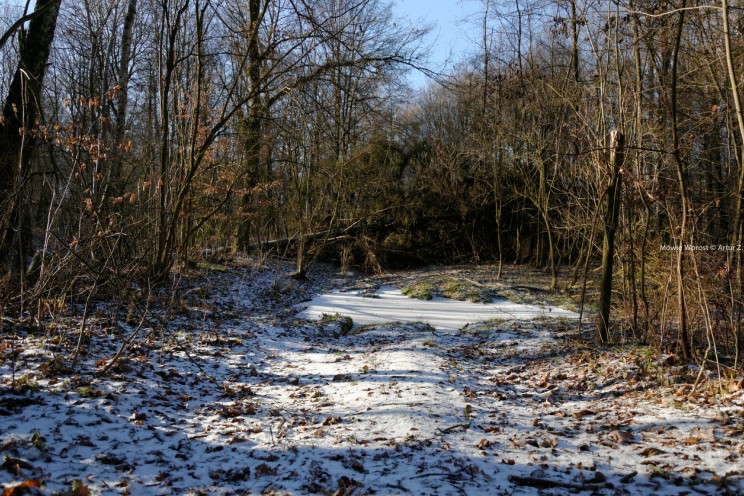 Krótki zimowy offroad, na piechotę 23 Pan Artur - Krótki zimowy offroad, na piechotę
