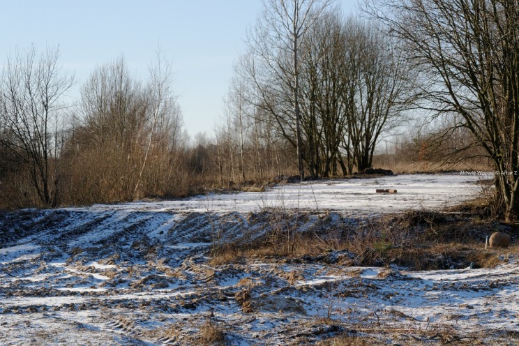 Krótki zimowy offroad, na piechotę 29 Pan Artur - Krótki zimowy offroad, na piechotę