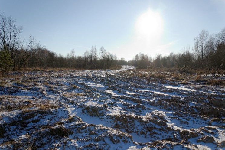 Krótki zimowy offroad, na piechotę 32 Pan Artur - Krótki zimowy offroad, na piechotę