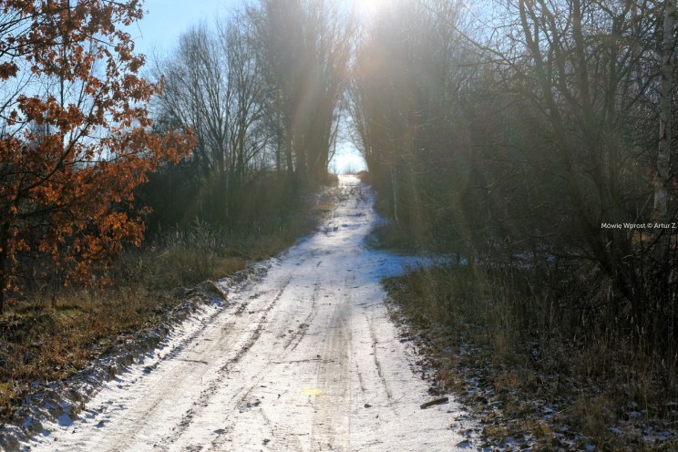 Krótki zimowy offroad, na piechotę 37 Pan Artur - Krótki zimowy offroad, na piechotę