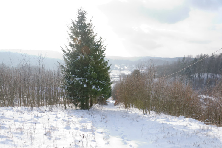 Gdzie jest zima? 2 Pan Artur - Gdzie jest zima?