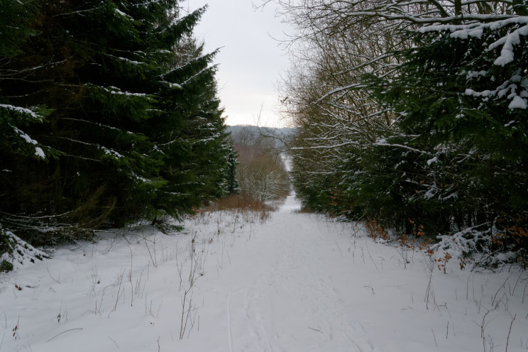 Gdzie jest zima? 14 Pan Artur - Gdzie jest zima?