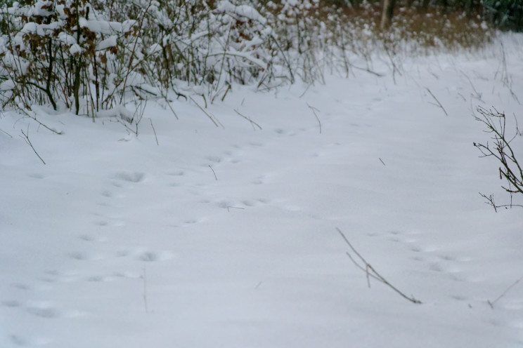 Gdzie jest zima? 19 Pan Artur - Gdzie jest zima?