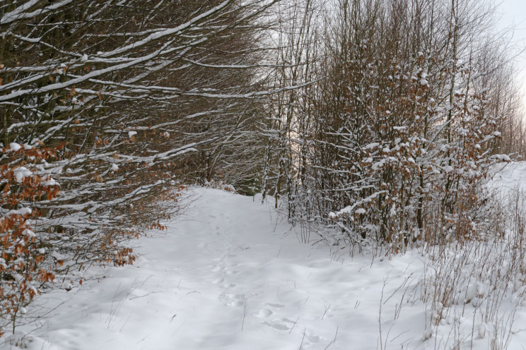 Gdzie jest zima? 20 Pan Artur - Gdzie jest zima?