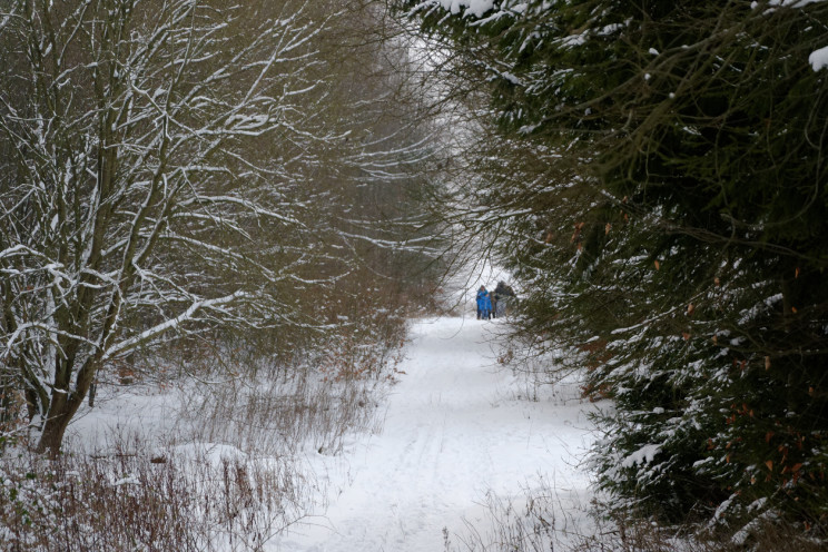 Gdzie jest zima? 16 Pan Artur - Gdzie jest zima?