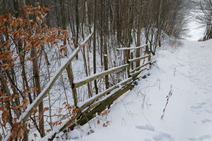 Gdzie jest zima? 25 Pan Artur - Gdzie jest zima?