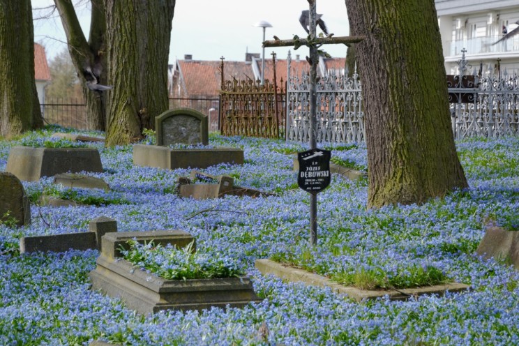 Pan Artur - Jak w niebie