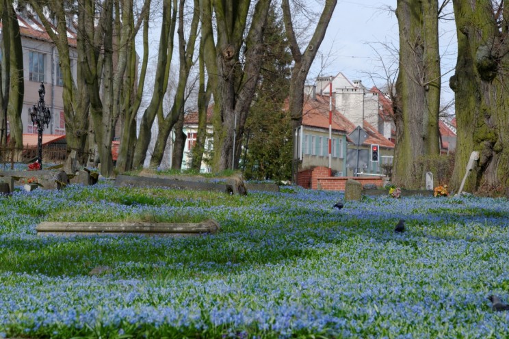 Pan Artur - Jak w niebie