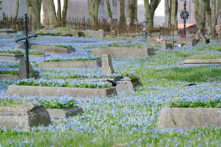 Pan Artur - Jak w niebie