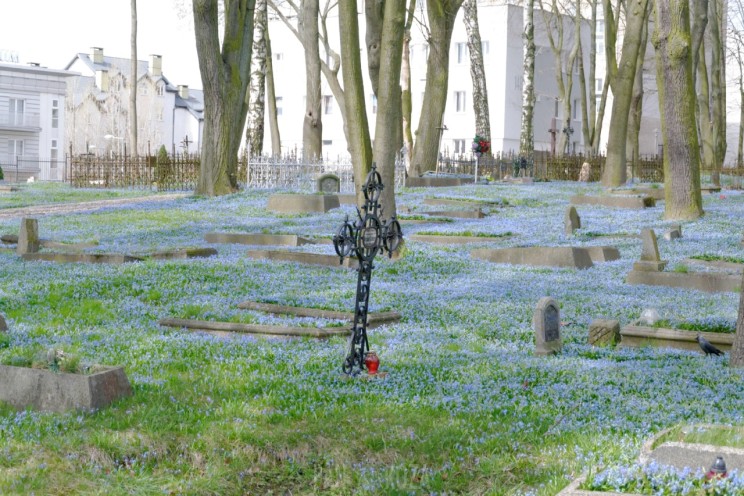 Pan Artur - Jak w niebie