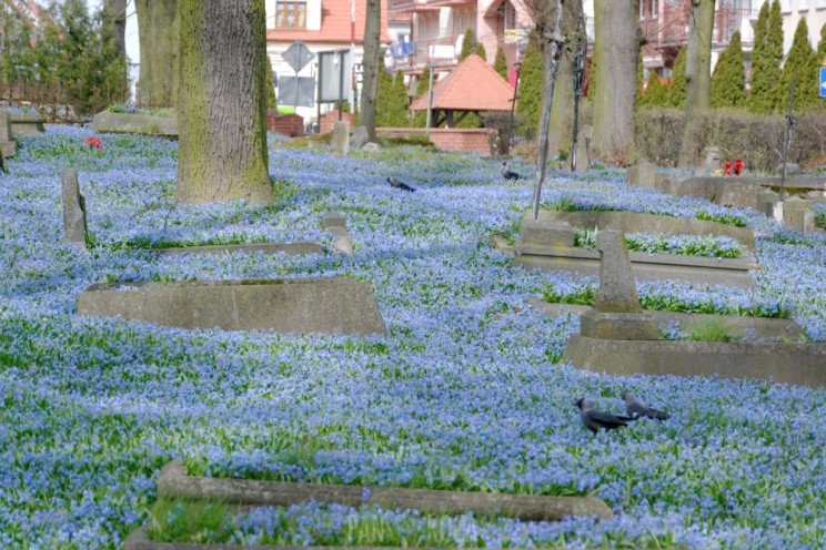 Pan Artur - Jak w niebie