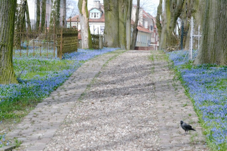 Pan Artur - Jak w niebie