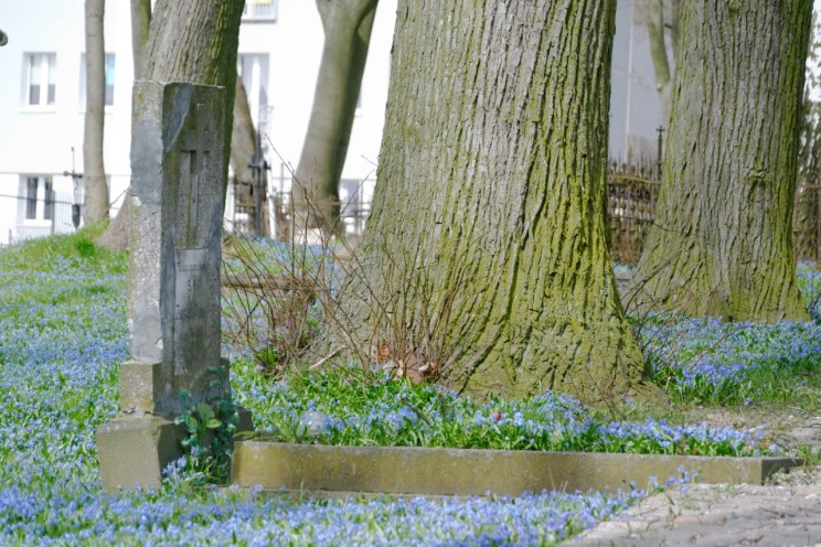 Pan Artur - Jak w niebie