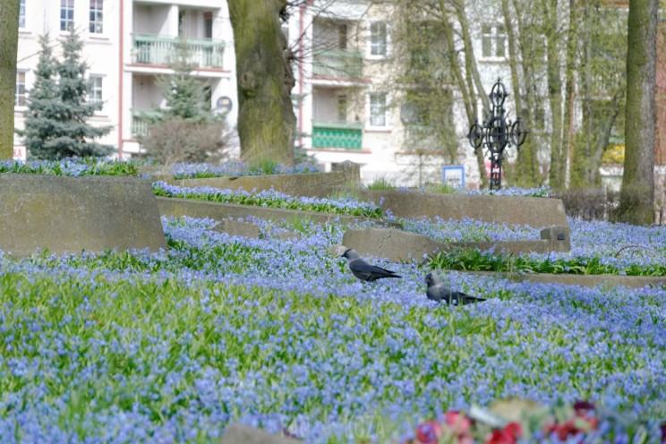 Pan Artur - Jak w niebie