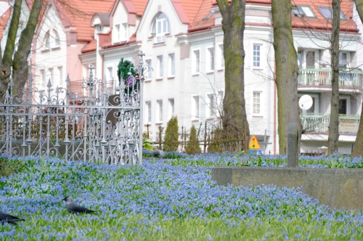 Pan Artur - Jak w niebie