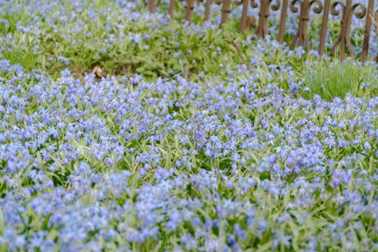 Pan Artur - Jak w niebie
