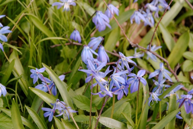 Pan Artur - Jak w niebie