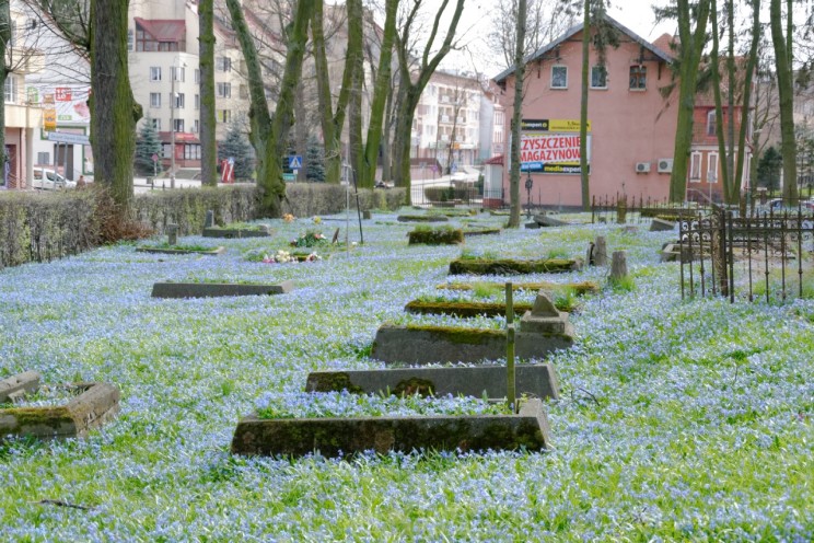 Pan Artur - Jak w niebie