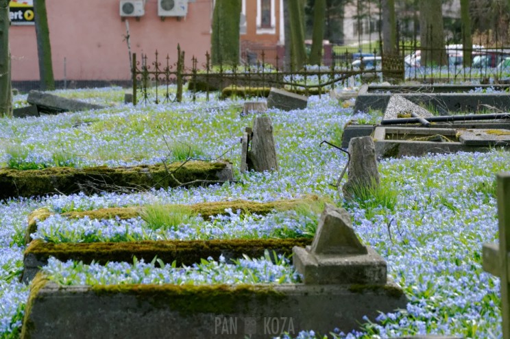 Pan Artur - Jak w niebie