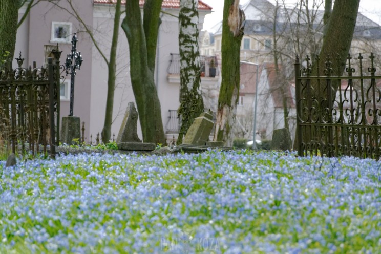 Pan Artur - Jak w niebie