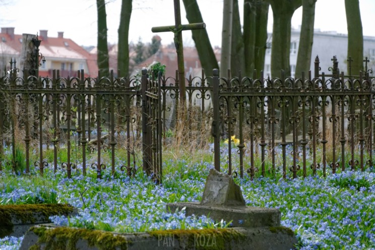 Pan Artur - Jak w niebie