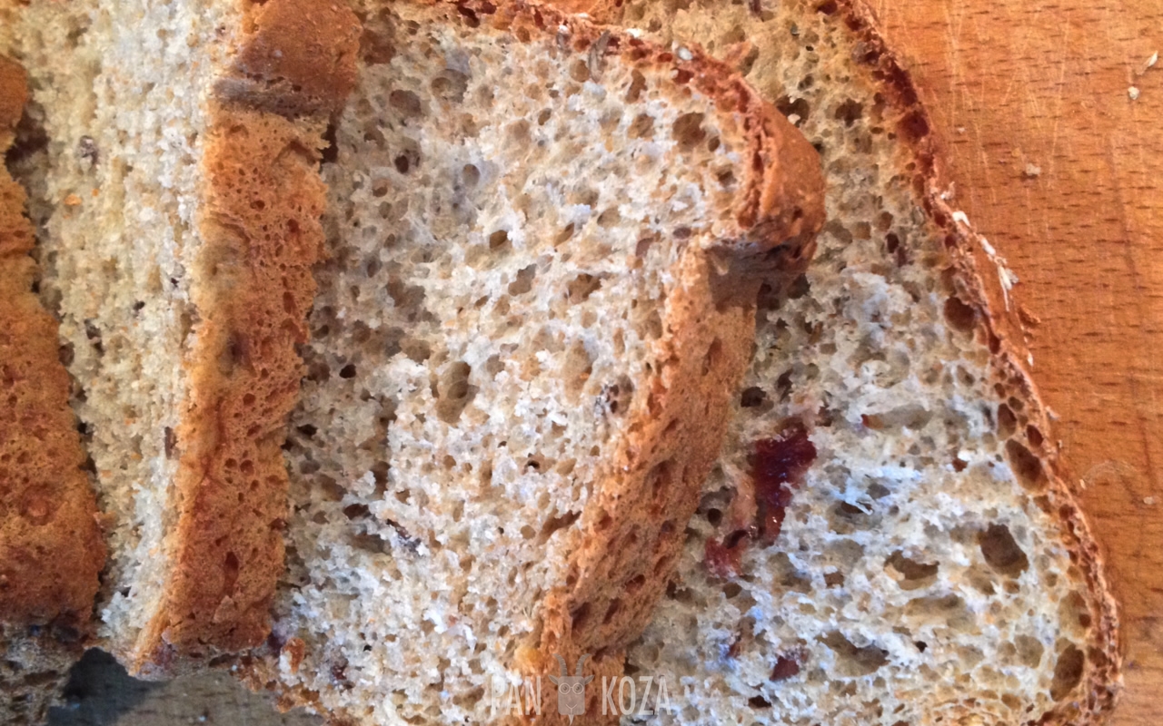 Domowy chleb z miodem i żurawiną 1 Pan Artur - Domowy chleb z miodem i żurawiną