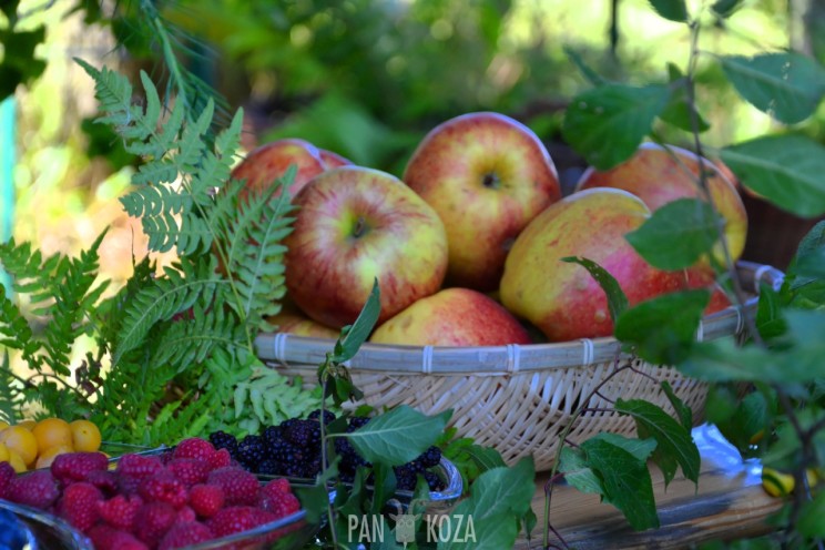 Tomaryny - piknik militarny - ratujmy wieże! 3 Pan Artur - Tomaryny - piknik militarny - ratujmy wieże!