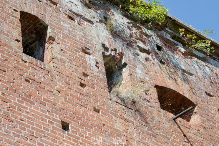 Tomaryny - piknik militarny - ratujmy wieże! 25 Pan Artur - Tomaryny - piknik militarny - ratujmy wieże!